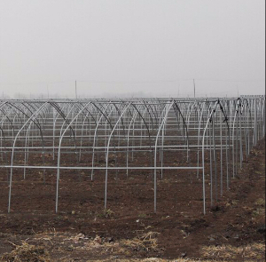河北南宮百思農蔬菜基地（全鋼架立柱拱棚）